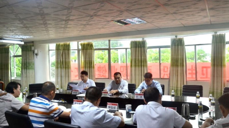 天汇能源党委书记、董事长吴兆旗到乐东发电公司、保亭发电公司召开干部任职宣布会并讲党课