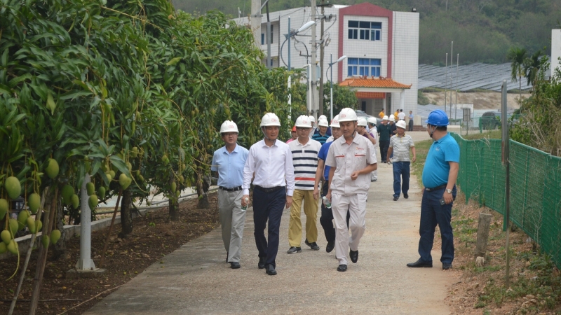 松涛区管理分局赴乐东发电公司响水电站参观交流