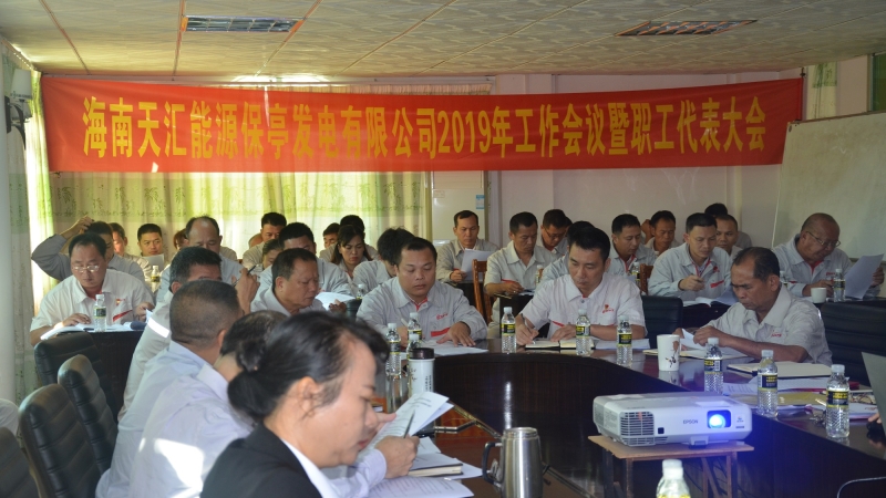 总结成绩 坚定信心 与时俱进 再谱新篇 &mdash;保亭发电公司2019年工作会议暨职工代表大会