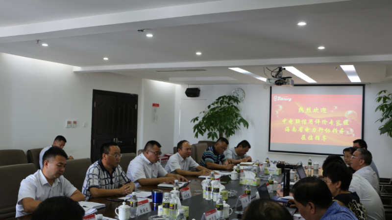 聚力信用评价 助推诚信建设&mdash;&mdash;中电联专家组到天汇能源开展信用评价现场咨询与访谈工作