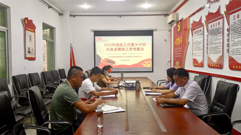 乐东发电公司召开乡村振兴定点帮扶工作专题会议