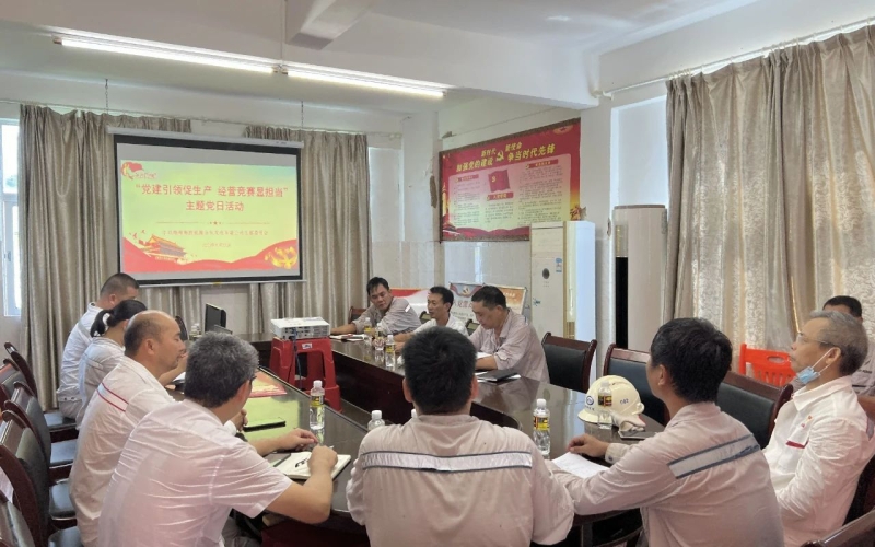 以赛促干 - 乐东发电公司党支部开展助力生产经营大竞赛主题党日活动