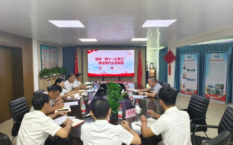 海控能源到保亭发电公司讲授专题党课