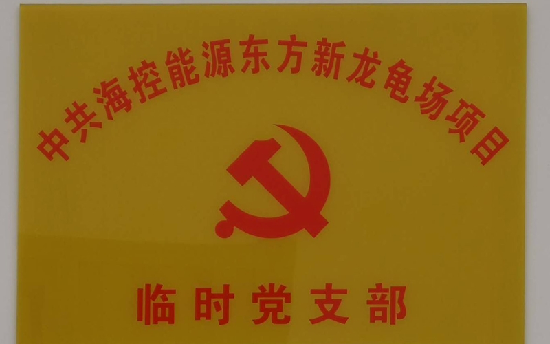 党建引领，科学组织，东方新龙项目疫情防控与项目施工两不误