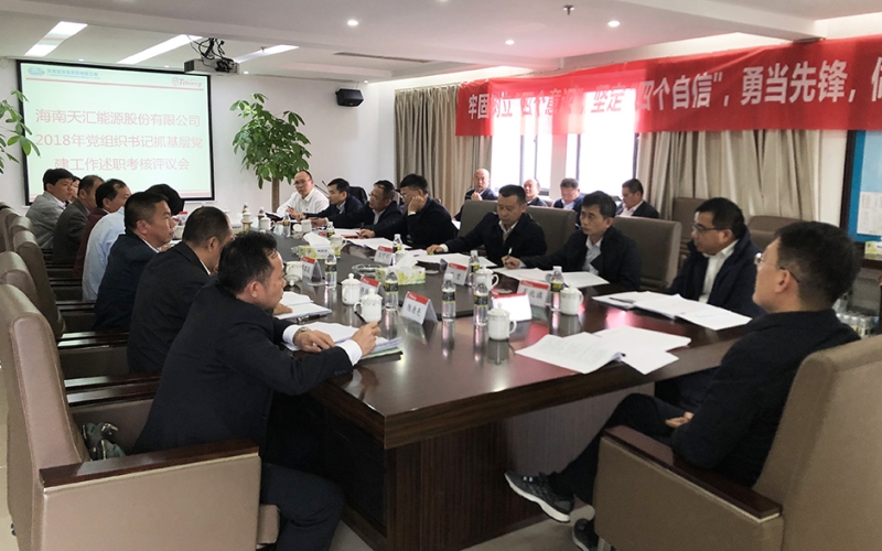 建强党的组织  提升党建质量 为海南自由贸易试验区建设提供坚强保障 &mdash;天汇能源召开党组织书记抓党建工作考核评议会
