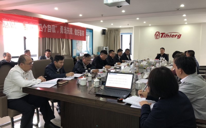 建强党的组织  提升党建质量 为海南自由贸易试验区建设提供坚强保障 &mdash;天汇能源召开党组织书记抓党建工作考核评议会