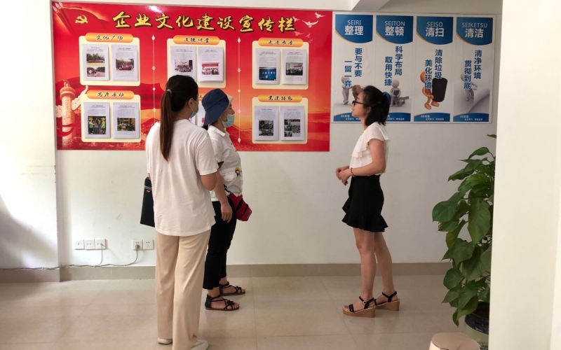 深化文明单位创建 巩固精神文明成果 &mdash;&mdash;五指山市精神文明办到五指山发电公司开展专项调研检查