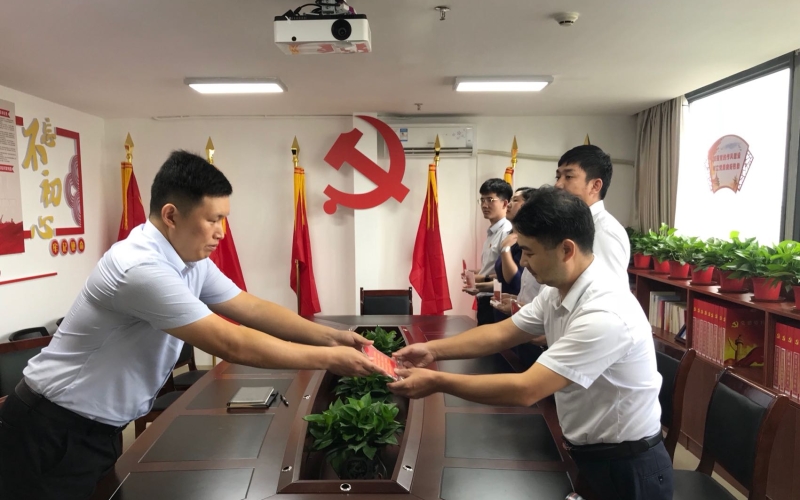 立足岗位亮身份 创先争优当先锋 天能电力党支部开展&ldquo;亮身份、树形象、做表率&rdquo; 主题党日活动