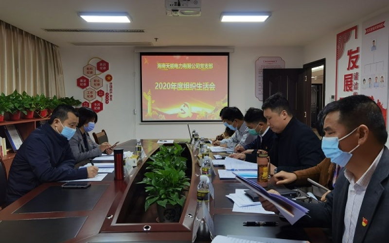 天能电力党支部召开2020年度组织生活会