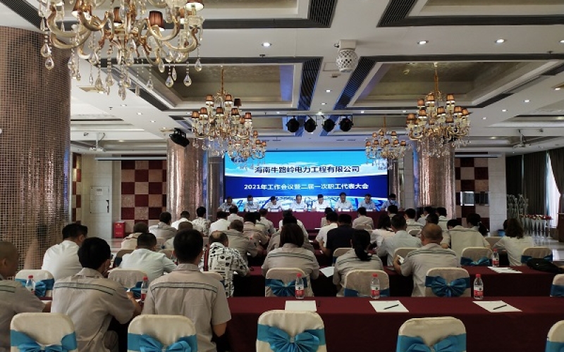 凝心聚力谋发展，乘势而上开新局&mdash;&mdash;电力工程公司召开2021年工作会议暨二届一次职工代表大会