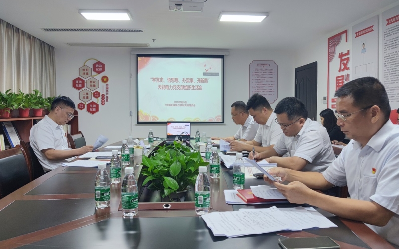 天能电力召开&ldquo;学党史，悟思想，办实事，开新局&rdquo; 专题组织生活会