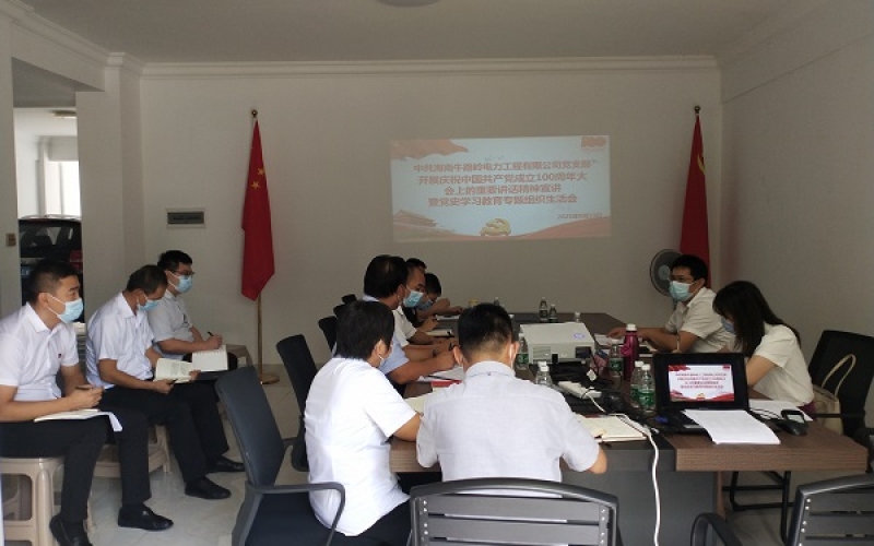 电力工程公司党支部开展庆祝中国共产党 成立100周年大会上的重要讲话精神宣讲 暨党史学习教育专题组织生活会