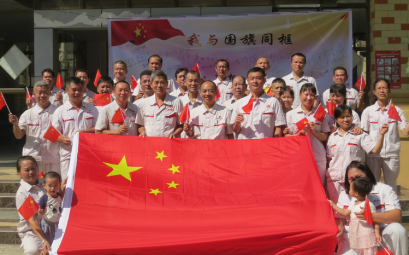 五指山发电公司组织开展庆祝新中国成立七十周年&ldquo;我与国旗同框&rdquo;主题党日活动
