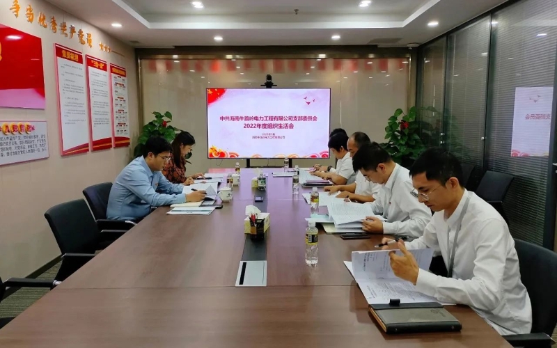 电力工程公司党支部召开2022年度组织生活会