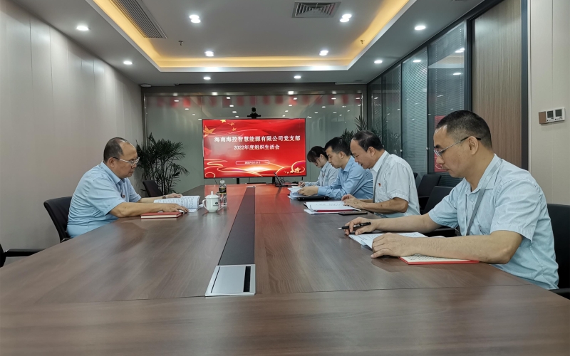 海控智慧能源公司党支部召开2022年度组织生活会