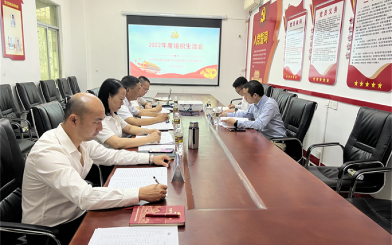 乐东发电公司党支部召开2022年度组织生活会