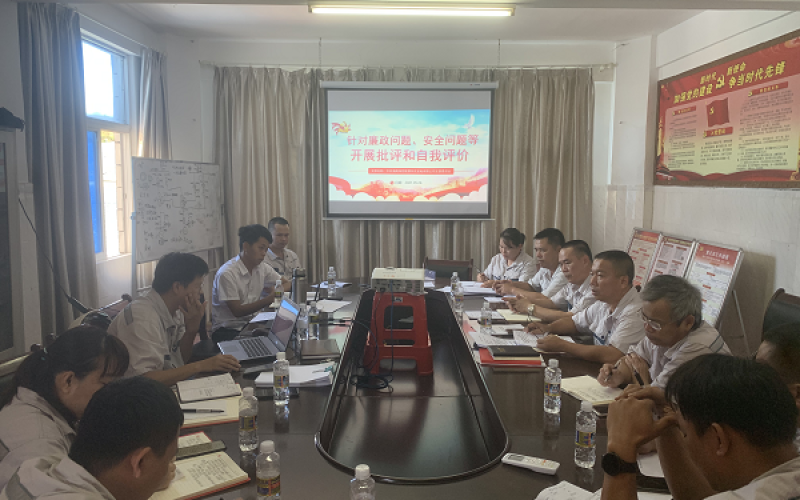 聚焦工作作风问题 全面动员集中整改&mdash;&mdash;乐东发电公司党支部开展作风建设讨论会