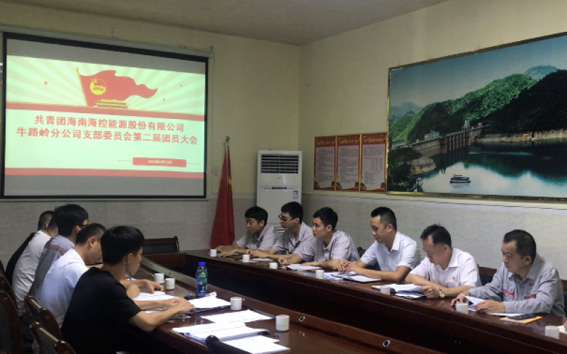 夯实团组织建设 增强青年凝聚力 &mdash;&mdash;牛路岭分公司团支部成功召开团员大会并圆满完成换届选举工作