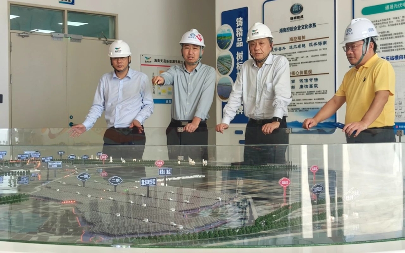 海南控股深入一线检查督导博鳌亚洲论坛年会期间重点电站安全保障工作