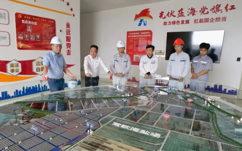 海控能源赴乐东开展节前及一季度安全生产检查工作