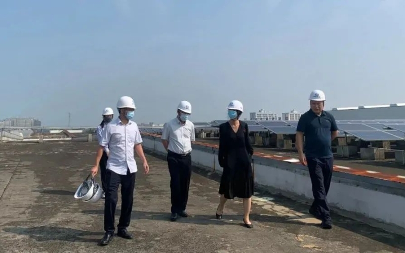 海南控股赴海控能源天能电力公司走访调研