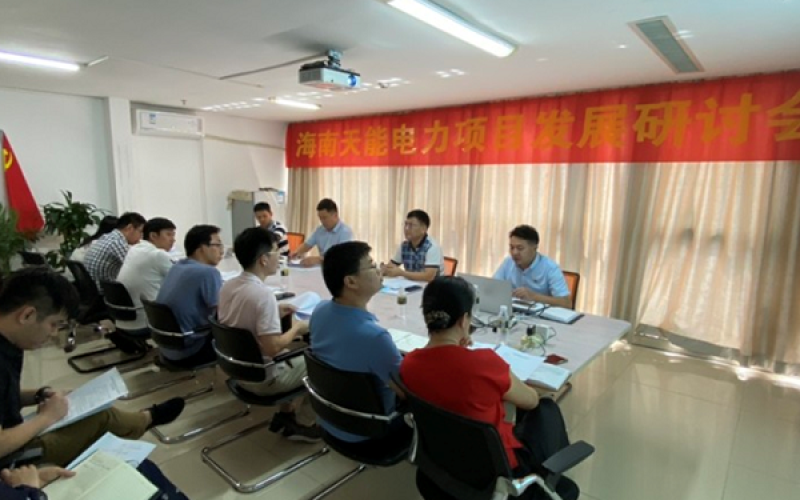 自贸新时代 谋划新作为 &mdash;&mdash;天能电力召开项目发展研讨会