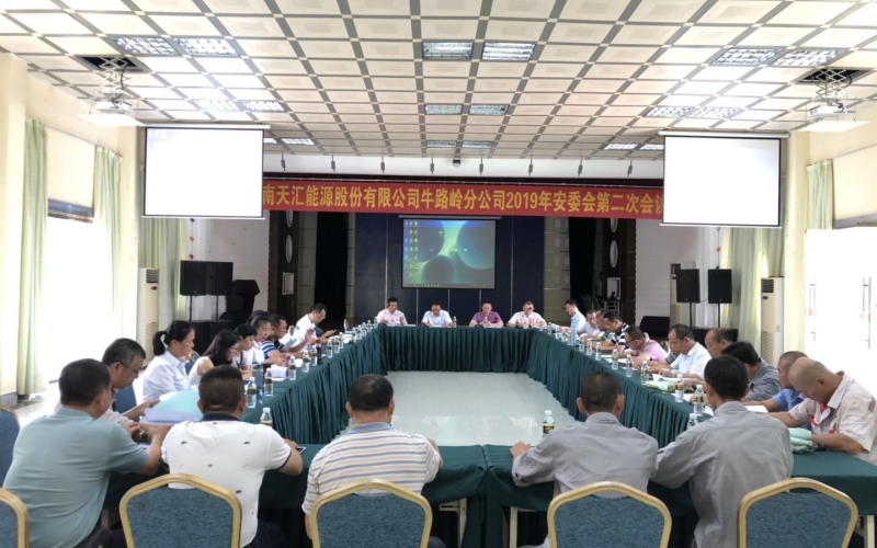 讲政治凝心聚力  查问题提升管理 &mdash;&mdash;牛路岭分公司召开2019年第二次安委会会议