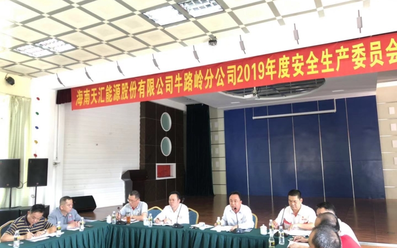 总结经验抓整改 加强部署再出发 &mdash;牛路岭分公司召开2019年度第一次安委会会议